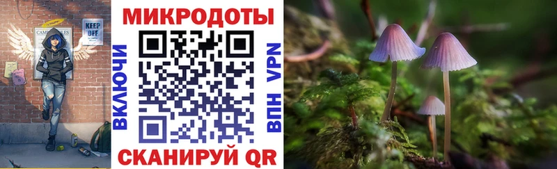 Псилоцибиновые грибы GOLDEN TEACHER  Болгар 