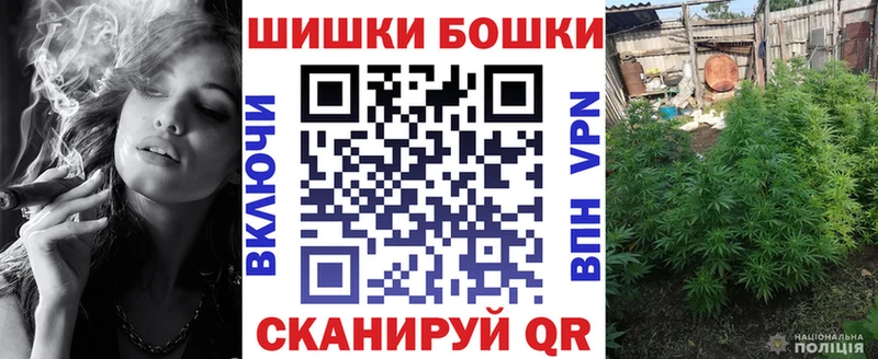 Каннабис план  закладки  Болгар 